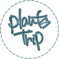 薪製造販売 プランツトリップ